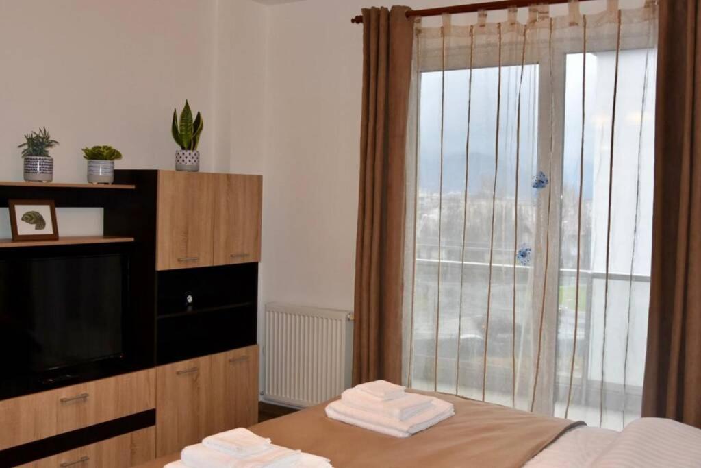 Pricop Residence Baia Mare Exterior foto
